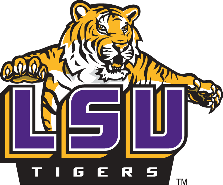 LSU Tigers 2002-Pres Alternate Logo v5 diy fabric transfer